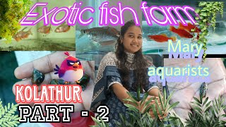 Exotic fish farm kolathur | Chennai farm visit | biggest exotic fish farm| part -2 Mary Aquarists by Our Story's Different 1,485 views 8 months ago 14 minutes, 3 seconds