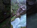 把酒叹平生 (人间半途) 蒋坤炜_982