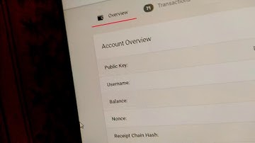 Mina Testworld Mini Vlog