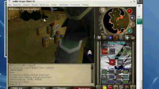 317 rsps.avi