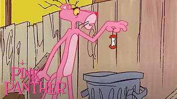 Pink Panther Is Hungry | 35-Minute Compilation | Pink Panther Show