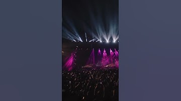 Thumbnail of Martin Garrix animals remix