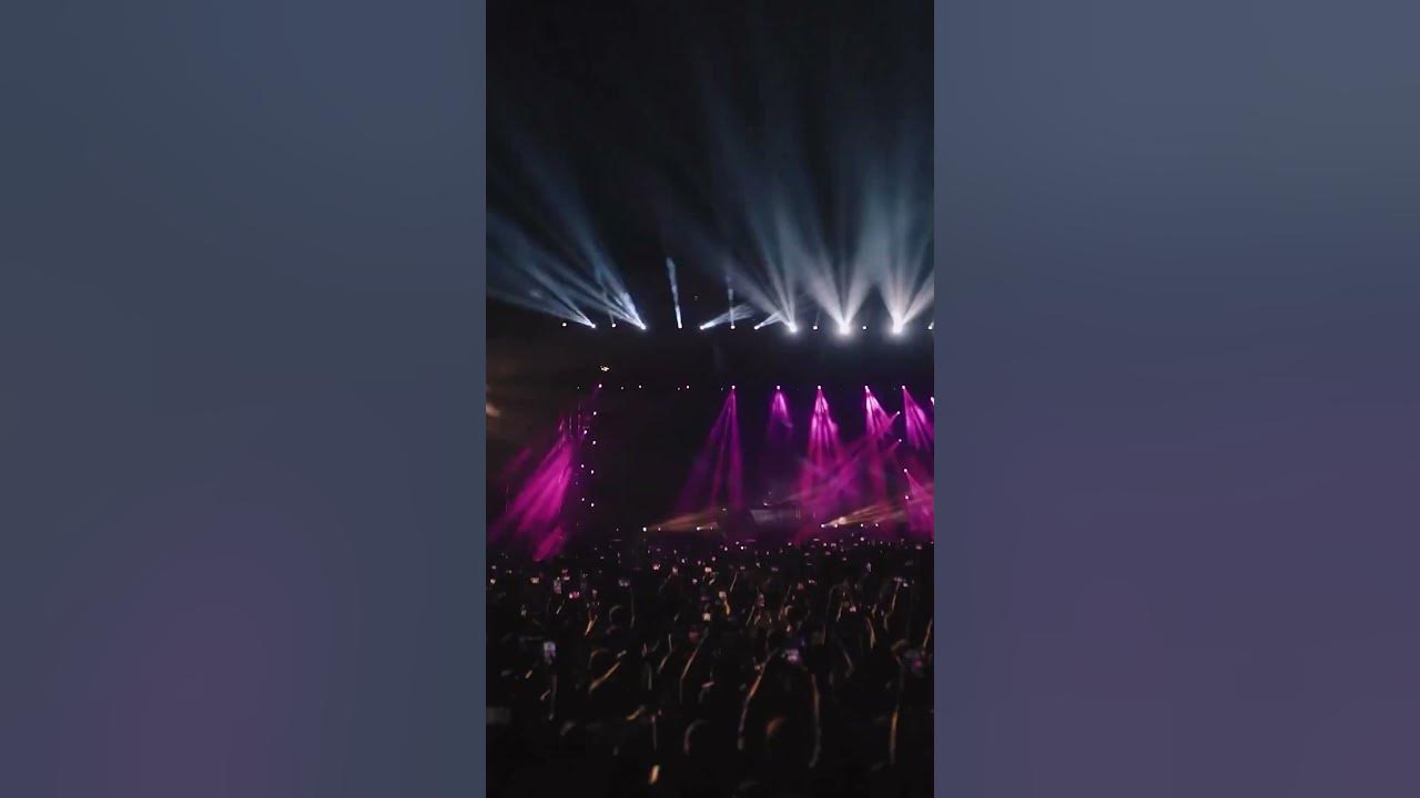 Martin Garrix animals remix