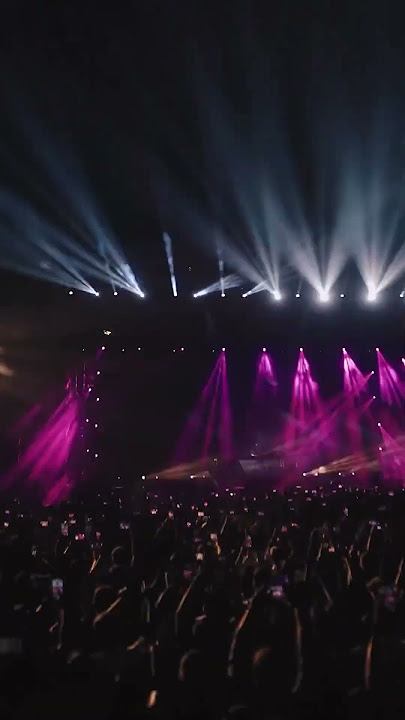 Martin Garrix animals remix