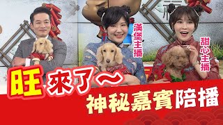 【中天辣晚報精華版】20210216 「旺」來了~ 神秘嘉賓「汪星人」辣晚報陪播