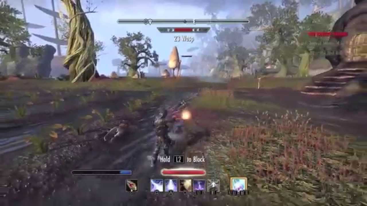 ESO ps4 beta review: Bugs, Gameplay, Combat, PvP & PvE