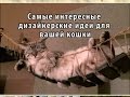 Самые интересные дизайнерские идеи для вашей кошки - Часть 1