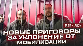 Новые приговоры за уклонение от мобилизации в Украине