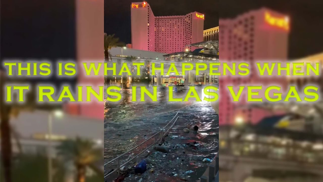This Is What Happens When It Rains in Las Vegas YouTube