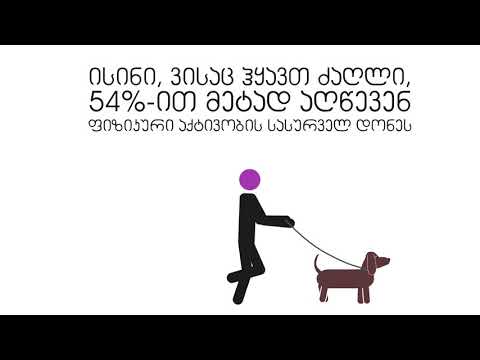 Having a Pet | შინაური ცხოველის ყოლა (19)