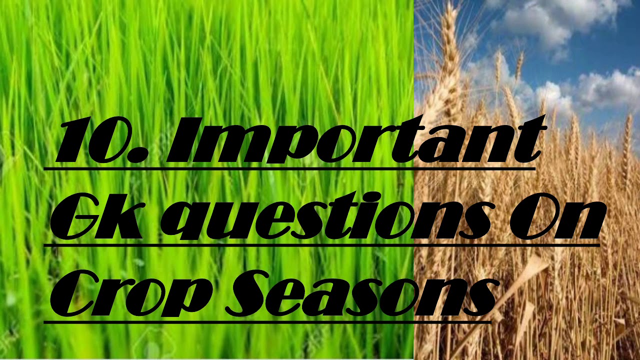 10. Important Gk questions On Crop Seasons. (You must watch)