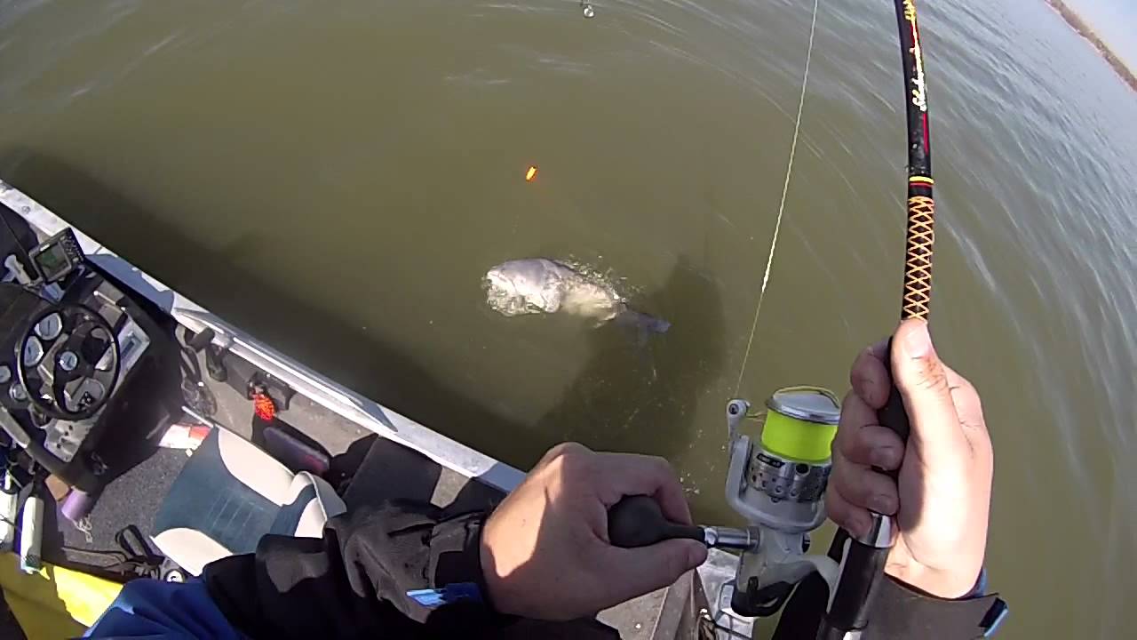 Lake Lewisville Texas 25 pound Blue Catfish YouTube