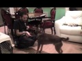 Dog Training Ideas: Veterinary and care giving behaviours Dog Training Ideas: Veterinary and care giving behaviours