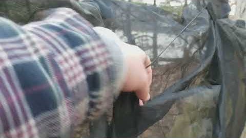 One Tigris Hammock with Bug Net