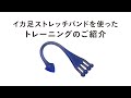 イカ足ストレッチバンドを使ったトレーニングのご紹介