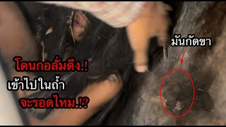 โดนไอ้“กอลั่ม”ดึงเข้าไปทำร้ายในถ้ำ.!มันหวังจะเอาชีวิต.?มันไม่ให้ออกจากถ้ำถ้าไม่ได้กินเนื้อ.!