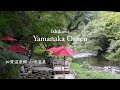 [ 石川、山中温泉さんぽ ] 美しい自然と伝統を愉しむ"やまなか遊歩"｜アンティークなパン屋さんで過ごす朝時間｜50代の散歩