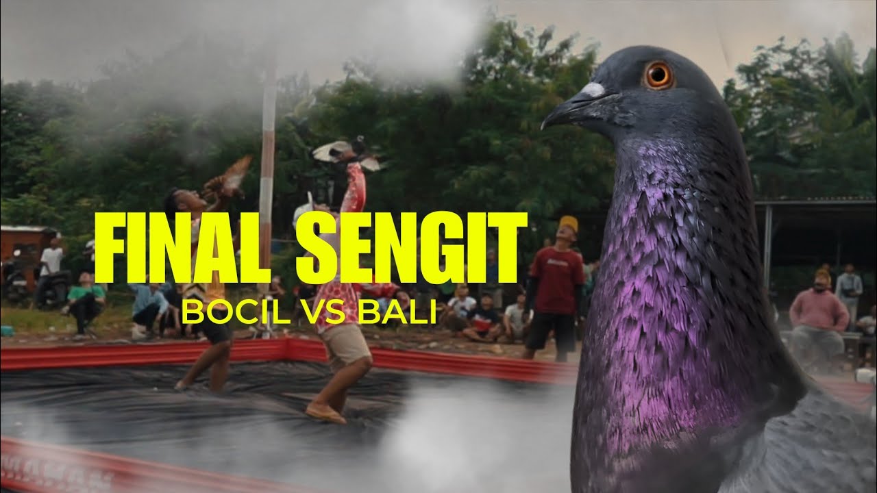 FINAL SENGIT!!! MERPATI BOCIL VS BALI REBUT JUARA NEW NMAX LAPAK MANDIRI BEKASI