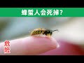 为什么都说蜂蜇人会死掉吗，这是真的吗？