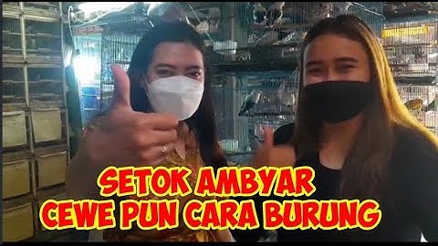 stok ambyar kemis 21 juli 2022 kios lancar jaya edi jovanis