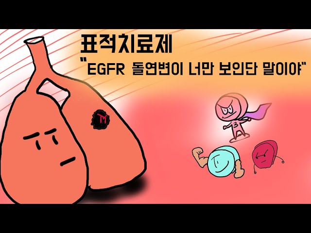 그리는 과학 70화 암 돌연변이 너만 보인단 말이야! 표적 치료제 EGFR tyrosine kinase inhibitor