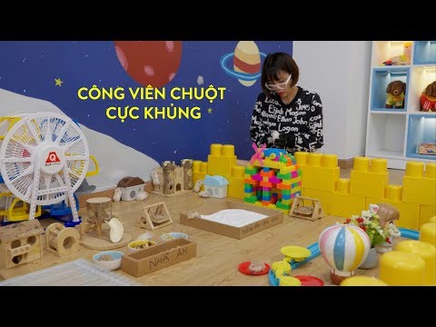 Video Video Cuối Về Các Bạn Hamster - youtube
