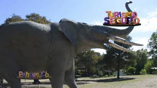 Turismo Seguro 2.0 - Pehuen Co