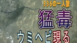 【危険ウミヘビ】沖縄の海でカヤックフィッシングしてみた　3話【一人船旅　釣り】