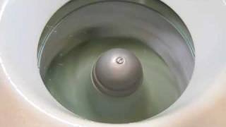Apex Rinse and Spin