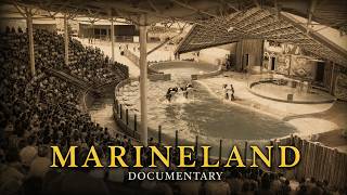 The Rise and Fall of Canada's Most Notorious Theme Park: Marineland