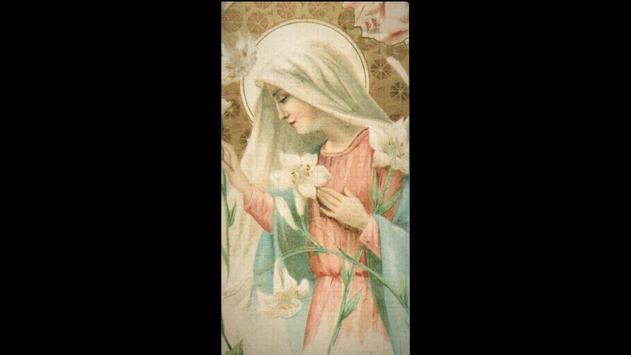 MARY: THE MORNING STAR