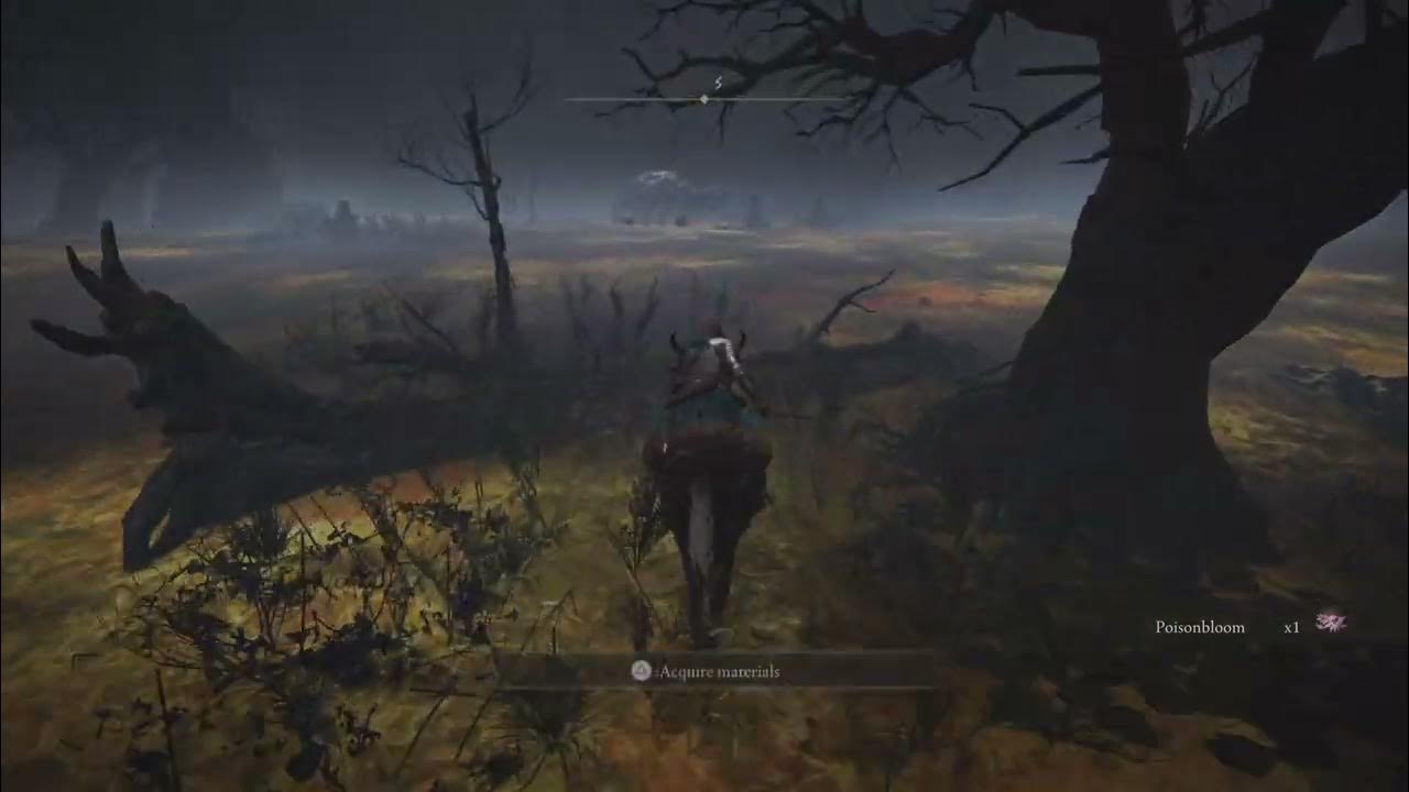Elden ring Poisonbloom Location YouTube