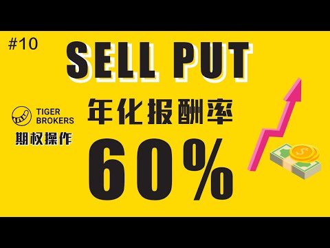 #10 什么是 SELL PUT 期权操作？如何操作 tigr 的期权赚取一些权利金和减低持仓成本？｜ 稳定赚取收入！ ｜ Sell Put Option ｜ 实际操作 #TIGR