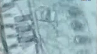 Viewpoint - Stereo Viva Vhs