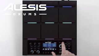 Alesis Strike MultiPad - Using "Start Click" for Loop and Alt Playback Modes (Feature Update v1.3) screenshot 4