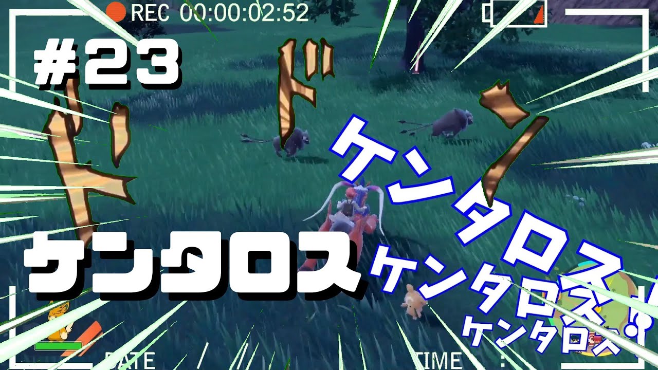 PSA10 ケンタロス 20th 世界3枚 PSA10 ケンタロス 20th 世界3枚 PSA10