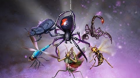 dawn of titans - New Arthropods 5* relic pulls 21000 divine gem pull