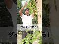 ダイダイ行こう！#サッカーあるある #親子 #中学生 #兄弟 #オヤジ #コメディ #shorts