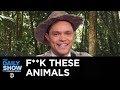 F**k These Animals - Polar Bears in Russia & Pablo Escobar’s Hippos in Colombia | The Daily Show