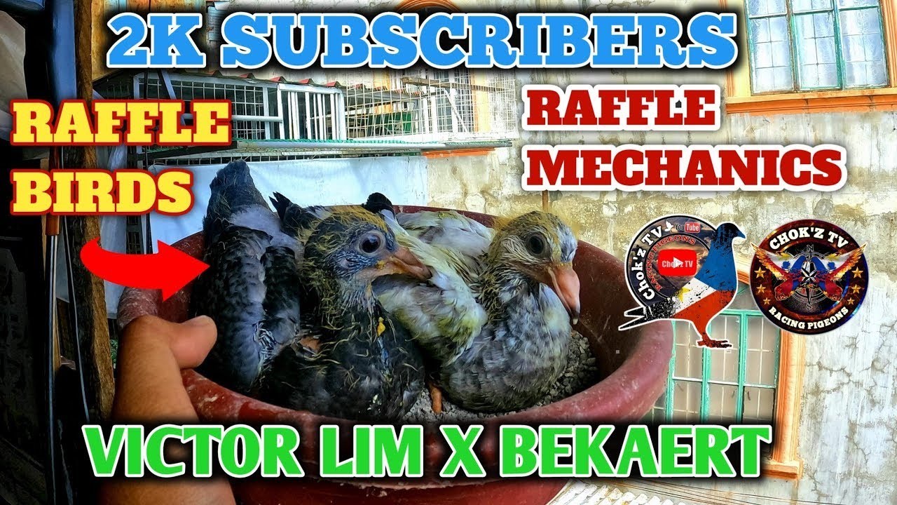 2k SUBSCRIBERS RAFFLE MECHANICS