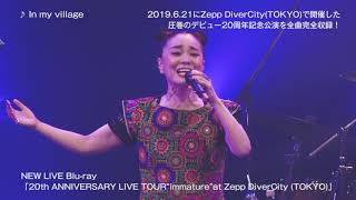 PUSHIM『20th ANNIVERSARY LIVE TOUR “immature” at Zepp DiverCity (TOKYO)』ティザー映像