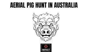 AERIAL PIG HUNTING IN AUSTRALIA