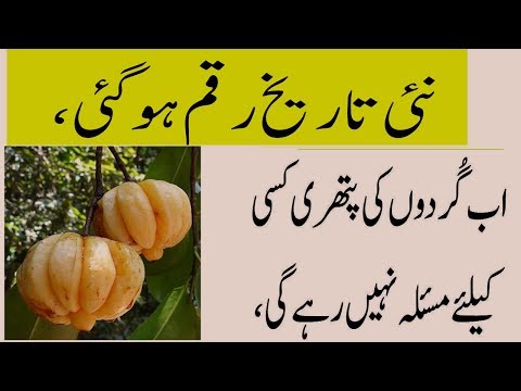 How To Remove Kidneys Stones Naturally Ayurveda How To Remove Kidneys Stones Naturally Ayurveda