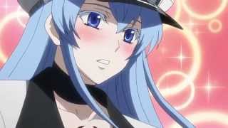 アニメmad アカメが斬る 3獣士 タツミにときめくエスデス将軍 高画質 Youtube