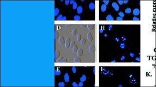 AD6BEBE8AB13A4E5150538DDFD3237#10 SOURCE MASTER 1 7