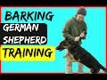 أغنية How to Train a Barking Anxious German Shepherd Dog with a Prong Collar