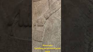 Celebrity Annunaki handbag,wristwatch,pinecone. Net Worth