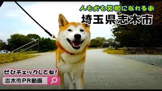 志木市ふるさとPR動画「犬目線編~犬にも人にもやさしいまち志木~」 志木市ふるさとPR動画「犬目線編~犬にも人にもやさしいまち志木~」