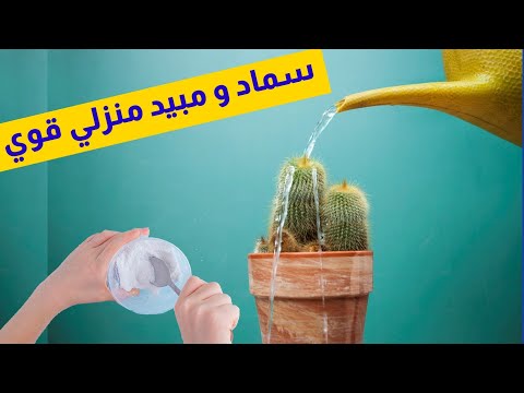 أنقذ نباتاتك ب ملح الليمون و تفادى مشاكل التربة القاعدية و ملوحة الماء و أمراض النبات حمض الستريك 