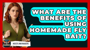 What Are The Benefits Of Using Homemade Fly Bait? - Insects and Invaders